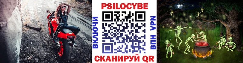 Псилоцибиновые грибы мухоморы  купить наркотик  Сясьстрой 
